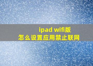 ipad wifi版怎么设置应用禁止联网